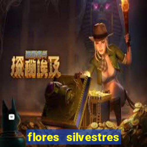 flores silvestres desbravadores desbravadores 25 flores silvestres e seus nomes